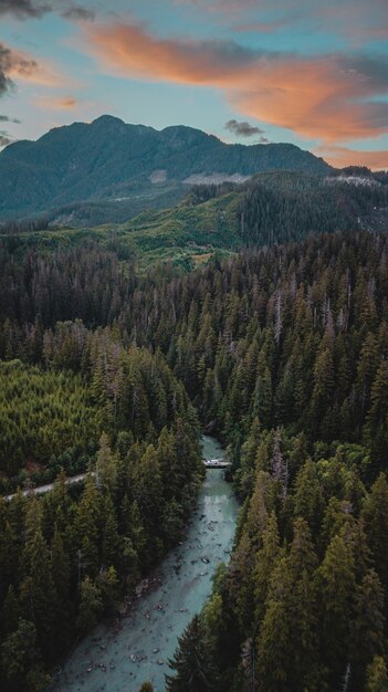 Vertical shot of a forest with a river and green mountains with cloudy sky