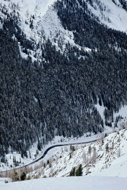 Vertical shot of a forested mountain covered in snow in Col de la Lombarde - Isola 2000 France