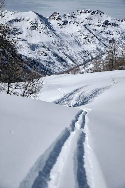 Free Photo vertical shot of a forested mountain covered in snow in col de la lombarde - isola 2000 france