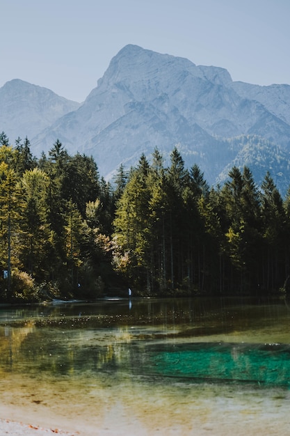 Vertical shot of a frozen lake shining under the warm sun surrounded by trees and mountains