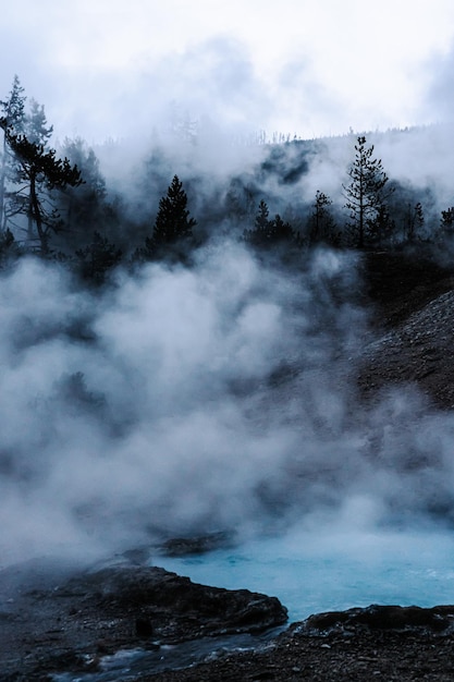 Free Photo vertical shot of the geysers in yellowstone national park united states