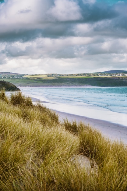 Free photo vertical shot of the grass covered beach by the calm ocean captured in cornwall, england