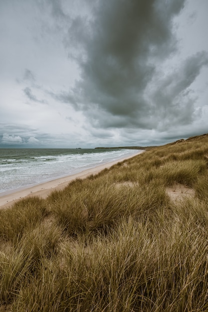 Free photo vertical shot of the grass covered beach by the calm ocean captured in cornwall, england