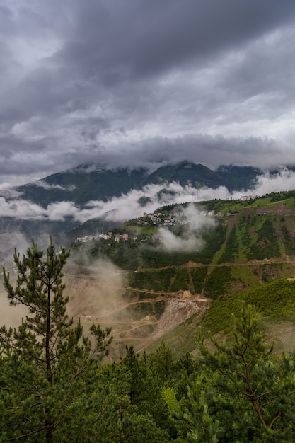 Vertical shot of the grass covered fields and mountains under the beautiful cloudy sky