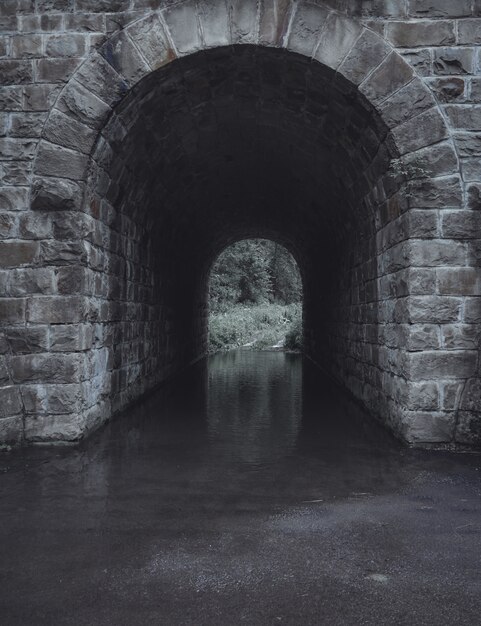 Free Photo vertical shot of a gray stone water tunnel