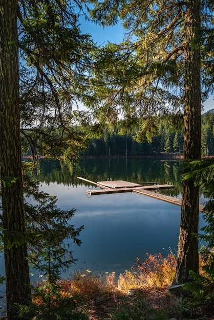 Free photo vertical shot of a green scenery reflecting in the lost lake in whistler bc canada