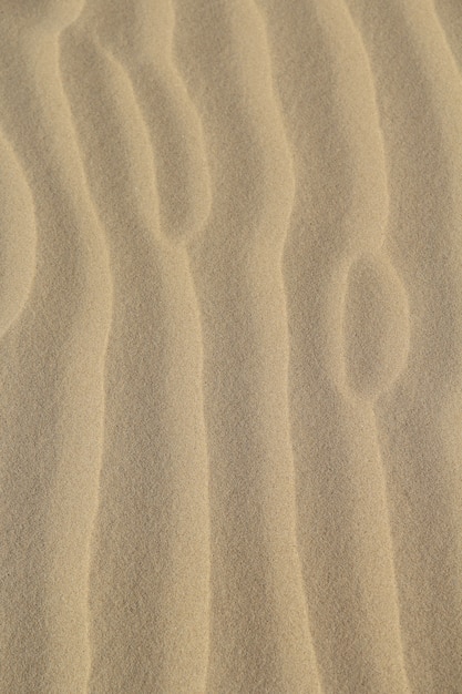 Vertical shot of the ground covered in sand under the sunlight