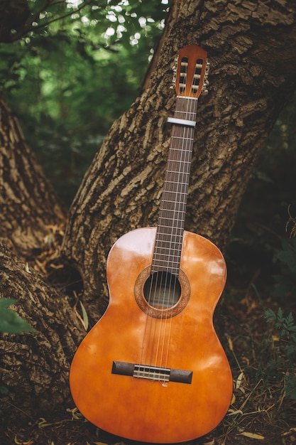 Free Photo vertical shot of a guitar leaning on the trunk of a tree in the middle of a forest