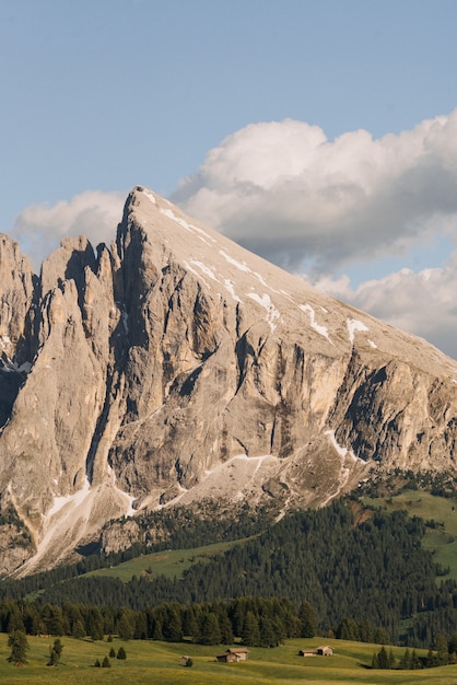 Vertical shot of high mountains surrounded by trees