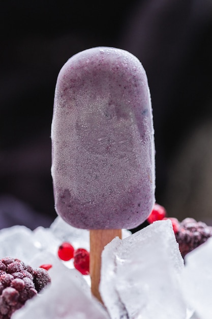 Free photo vertical shot of home-made vegan icecream covered by chocolate and surrounded by ice cubes