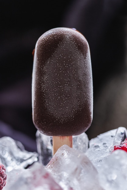 Free photo vertical shot of home-made vegan icecream covered by chocolate and surrounded by ice cubes