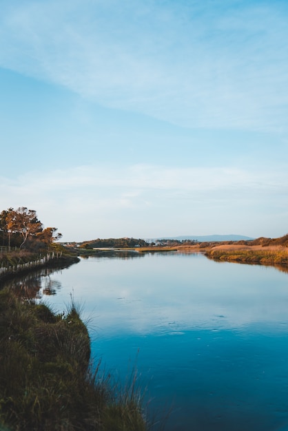 Free Photo vertical shot of the lake in the field reflecting the blue sky