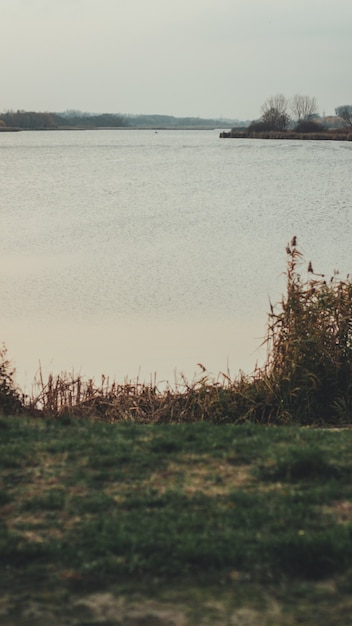 Free Photo vertical shot of a lake and green grass