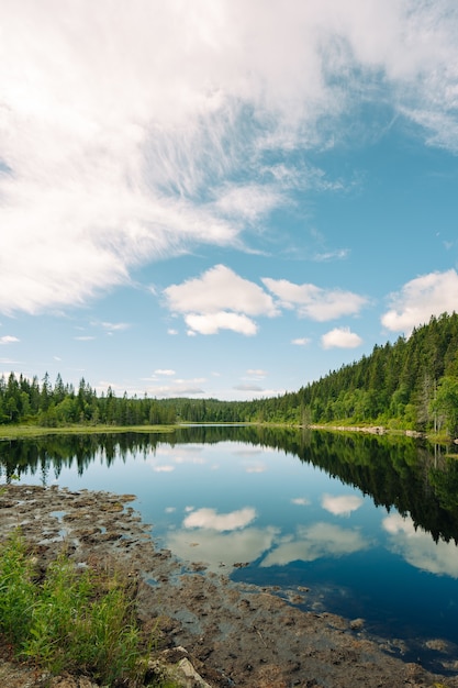 Vertical shot of a lake and trees on a cloudy day