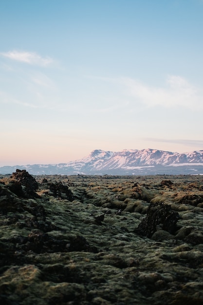 Vertical shot of the land textures in Iceland with a snow-covered mountain in the background