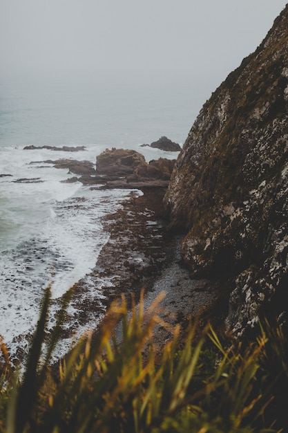 Free photo vertical shot of large rocks in nugget point ahuriri, new zealand with a foggy background