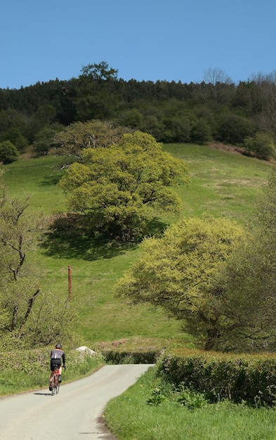 Free photo vertical shot of a male riding a bicycle on a road surrounded by greenery