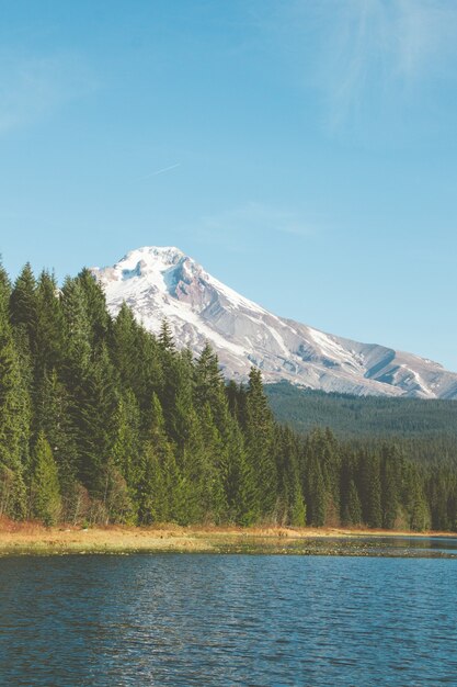 Vertical shot of the mesmerizing landscape by the lake with the snowy mountain in the surface