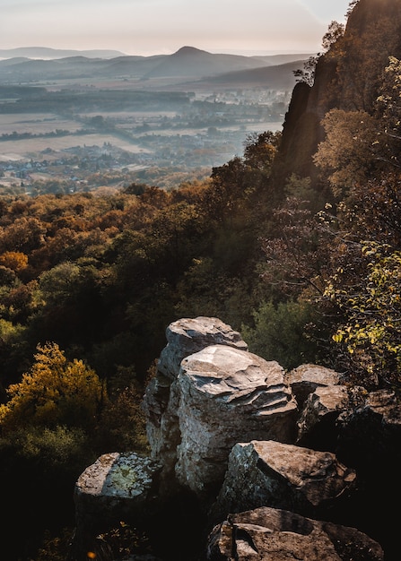 Free photo vertical shot of a mountain in hungary full of trees and vegetation