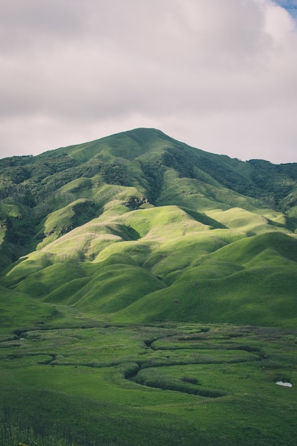 Free Photo vertical shot of mountains covered in greenery - perfect for mobile