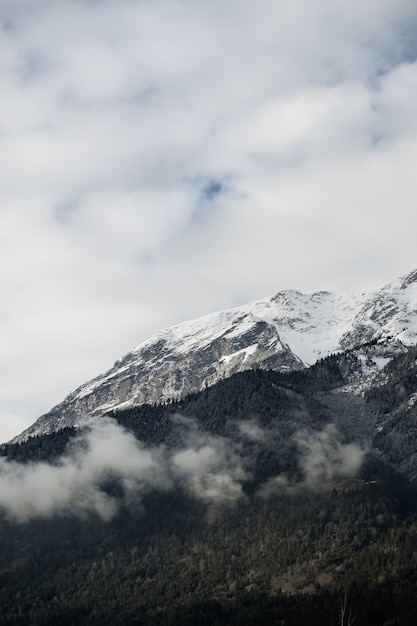 Vertical shot of mountains tops covered with snow and trees under cloudy skies