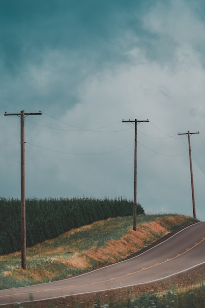 Free Photo vertical shot of a narrow countryside road with electricity poles and a forest