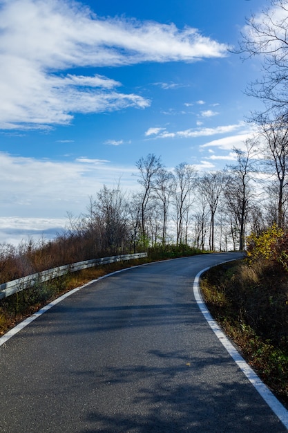 Free photo vertical shot of a narrow road leading to the mountain medvednica in zagreb, croatia