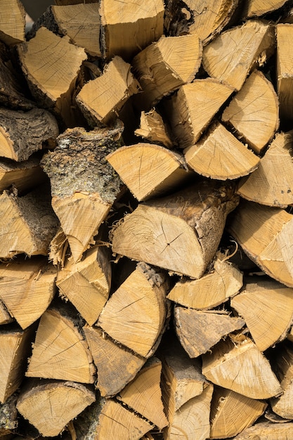 Free photo vertical shot of oak and beech firewood