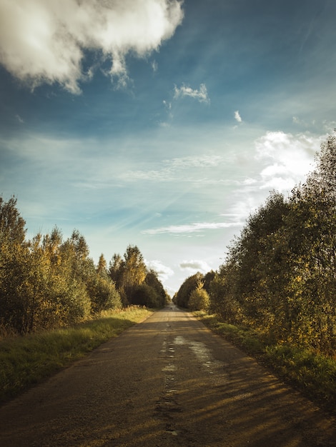 Vertical shot of a path in the forest covered with the shadows of the clouds in the sunny sky