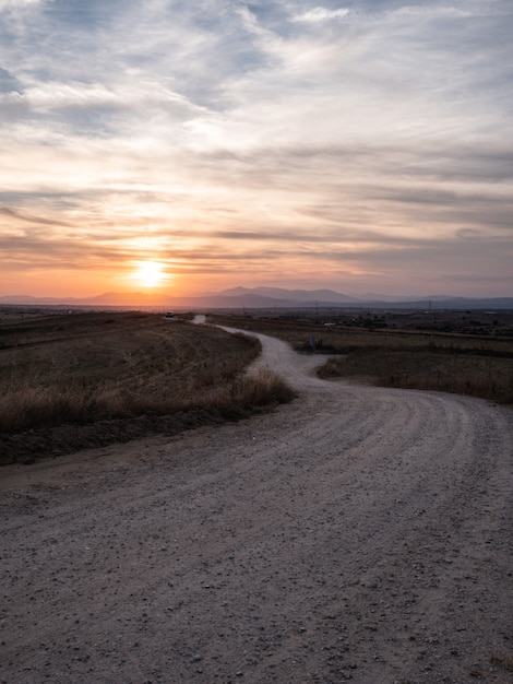 Free photo vertical shot of a pathway in a grassy field with the breathtaking view of sunset in the