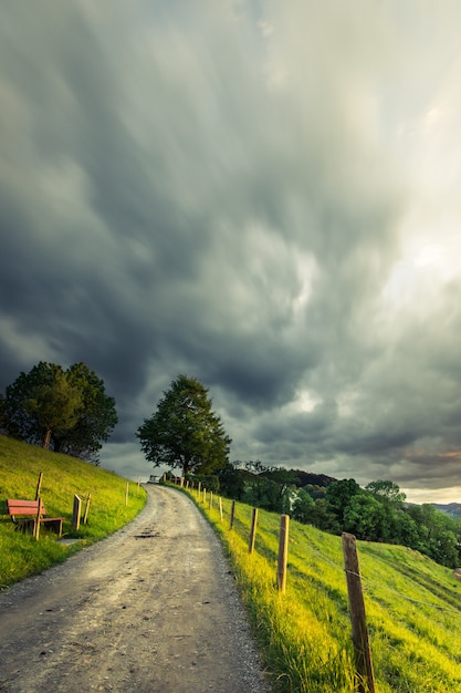 Vertical shot of a pathway in the middle of a grassy field with trees under a cloudy sky