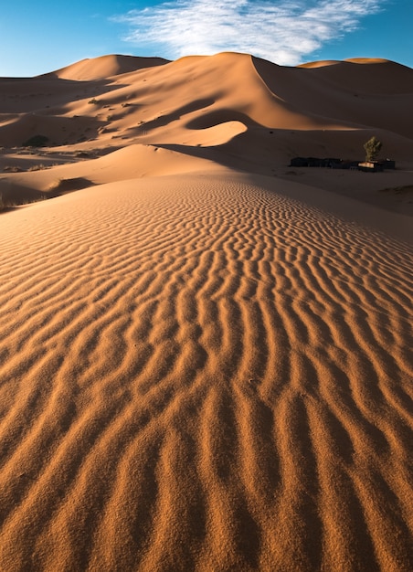 Free Photo vertical shot of the patterns on the beautiful sand dunes in the desert