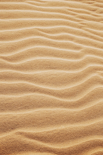 Free photo vertical shot of the patterns on the sands in the desert