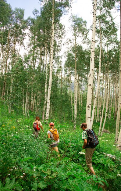 Vertical shot of people walking on a pathway in the middle of a forest surrounded by plants