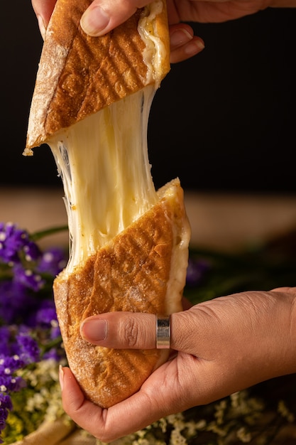 Free Photo vertical shot of a person's hands holding two pieces of a cheese sandwich