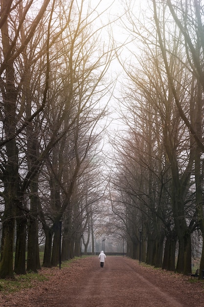 Free photo vertical shot of a person on the walkway in the park full of naked trees