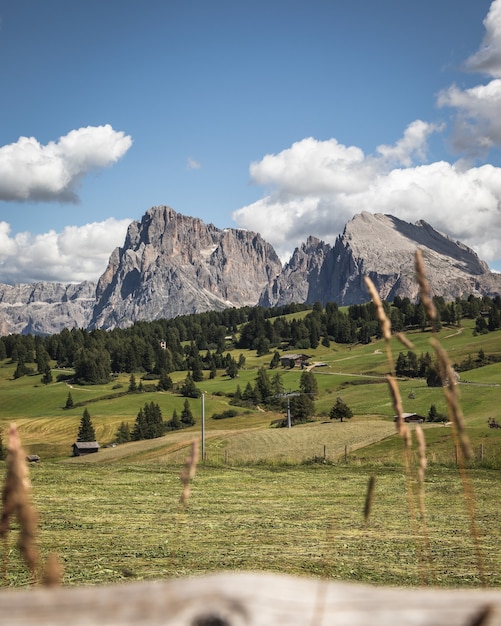 Free Photo vertical shot of plattkofel mountain in compatsch italy