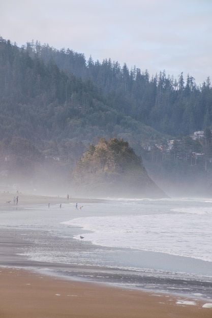 Vertical shot of Proposal Rock, Oregon in a foggy day