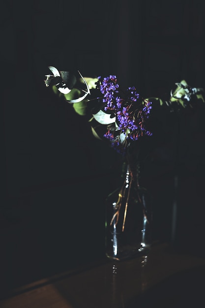 Free photo vertical shot of a purple flower in a glass jar with a dark wall