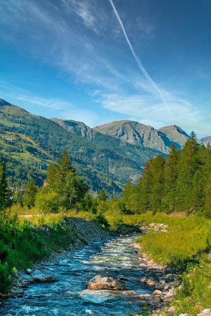 Free photo vertical shot of a river on background of fir trees and mountains