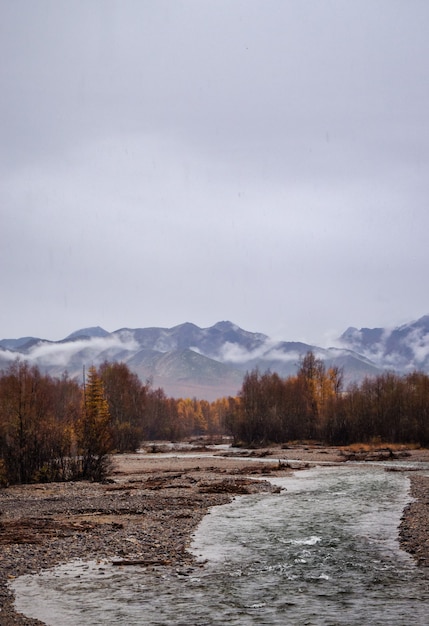 Free photo vertical shot of a river in the middle of a field with trees and mountains the distance