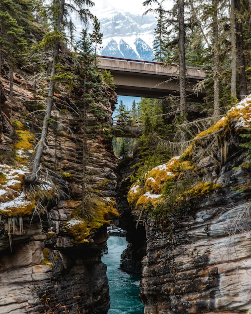 Vertical shot of a river in the middle of a mesmerizing mountainous scenery