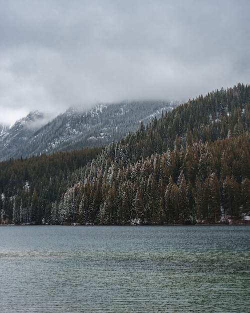 Free photo vertical shot of a river in the middle of a mountainous scenery covered in fog