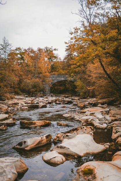 Free photo vertical shot of a river with a lot of rocks surrounded by autumn trees near a concrete bridge