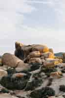 Free photo vertical shot of rock formations on a mountain under the sunlight