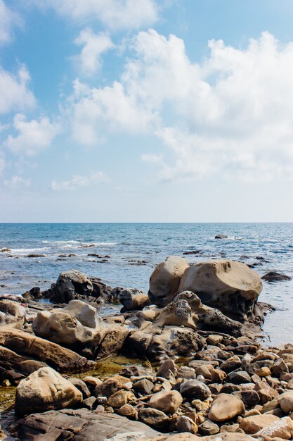 Free Photo vertical shot of rocks at the seashore under the cloudy sky