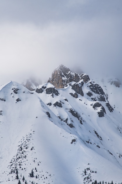 Free photo vertical shot of the rocky mountains covered with snow