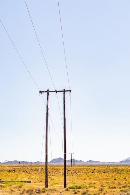 Vertical shot of a row of wooden electricity power line poles in the countryside of South Africa