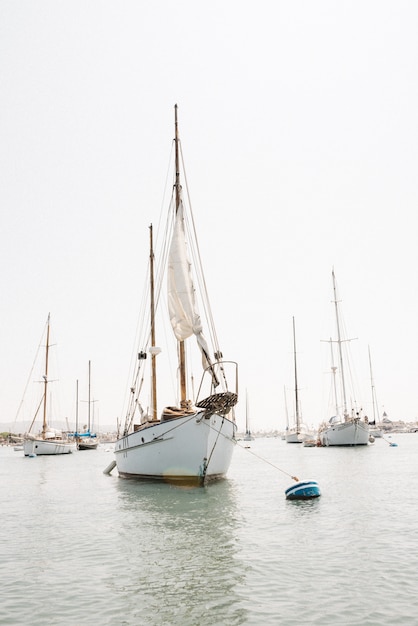 Free photo vertical shot of a sailboat in newport harbor, california