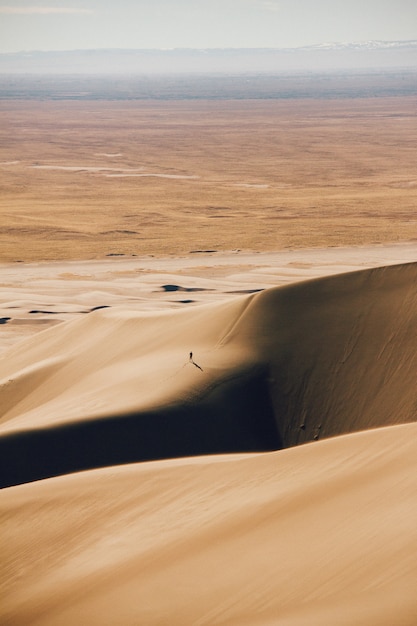 Free photo vertical shot of sand dunes and a dry field in the distance